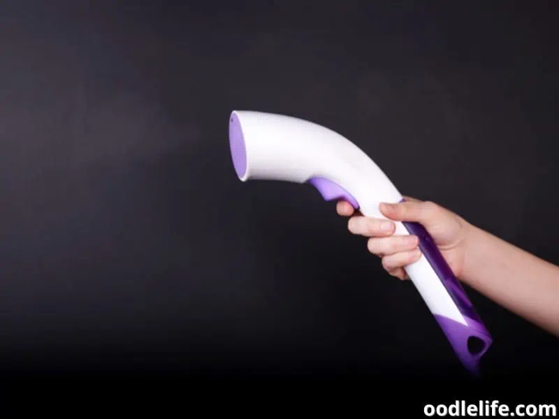 handheld steamer