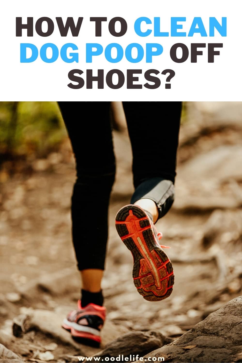 How To Clean Dog Poop Off Shoes? [7 Ways] Oodle Life