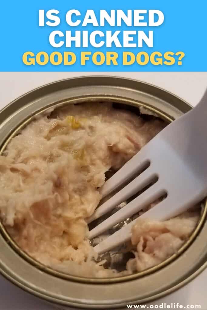 is canned chicken good for dogs