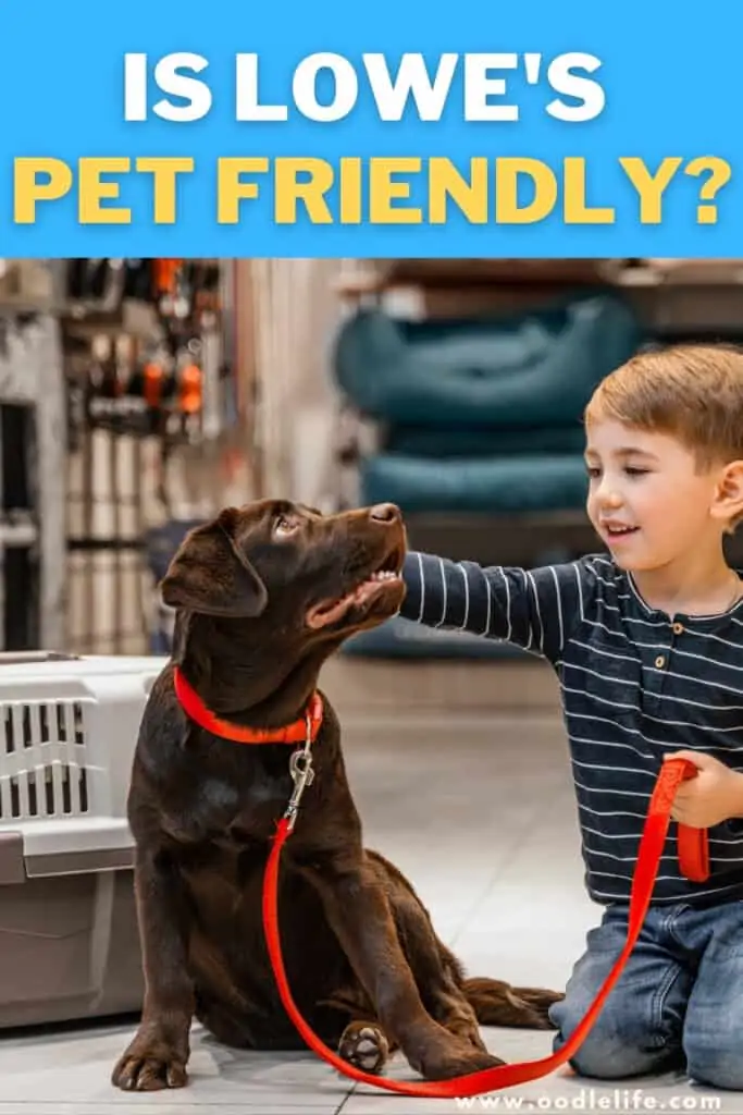 is lowe's pet friendly