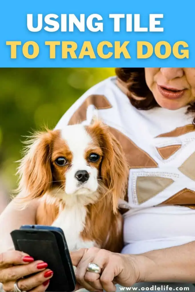 using tile to track dog