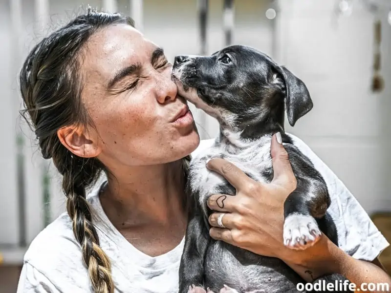 woman kissing dog