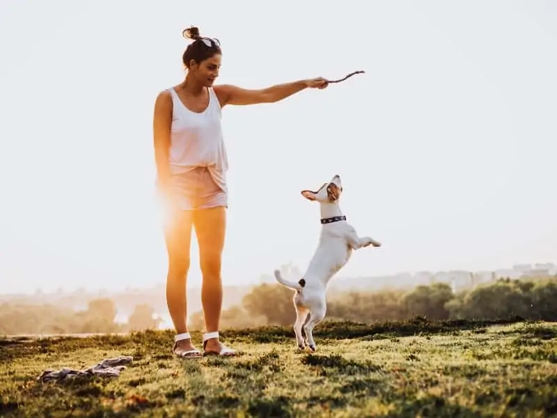 woman throws a stick