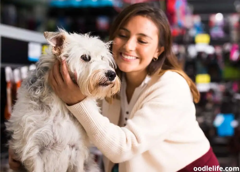 are dogs allowed in tractor supply