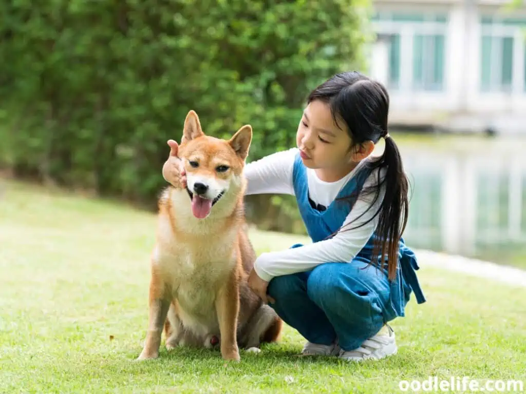are Shiba Inus good with kids