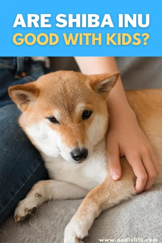 are Shiba Inus good with kids