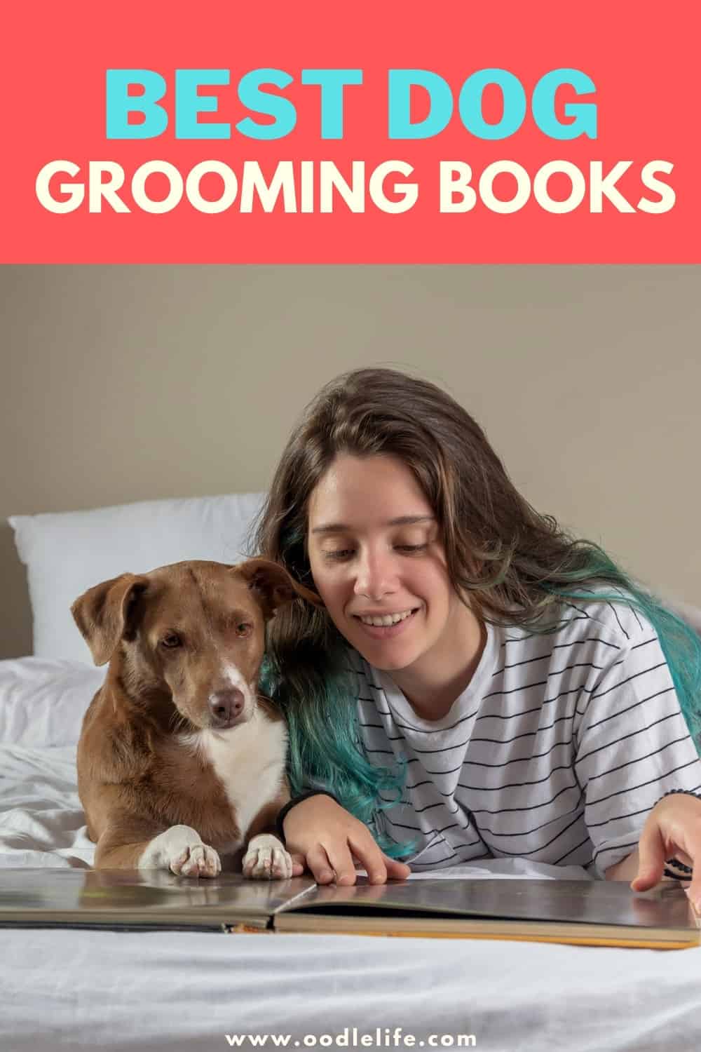 7 Best Dog Grooming Books (2023 Update) Oodle Life