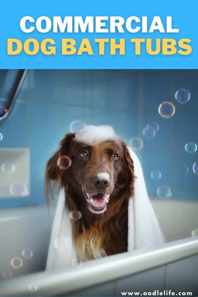 commercial dog bath tubs