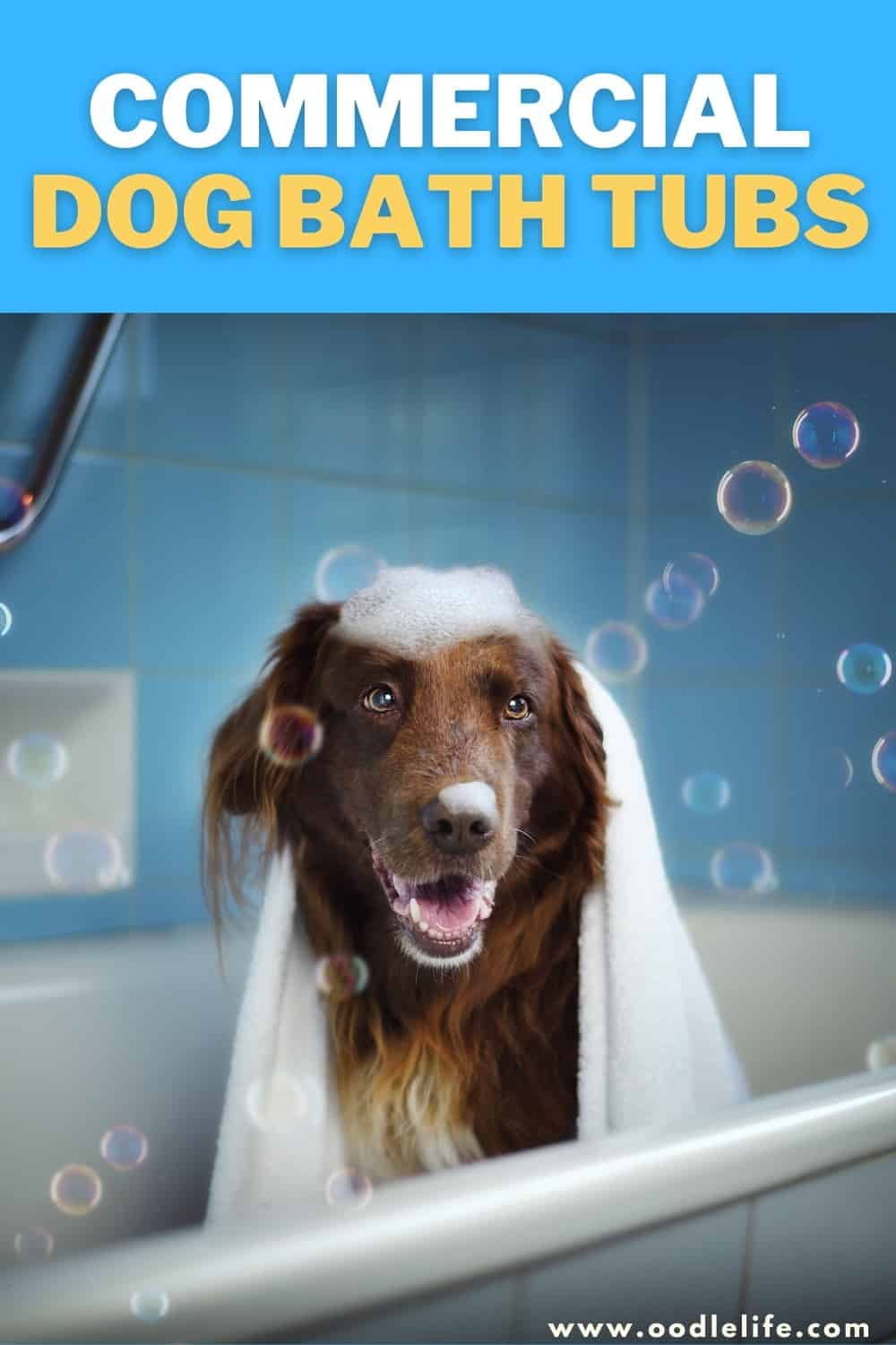 Top Commercial Dog Bath Tubs [9 Best] Oodle Life