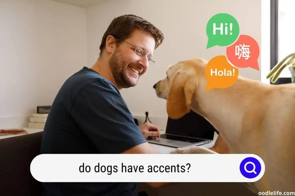do dogs have accents
