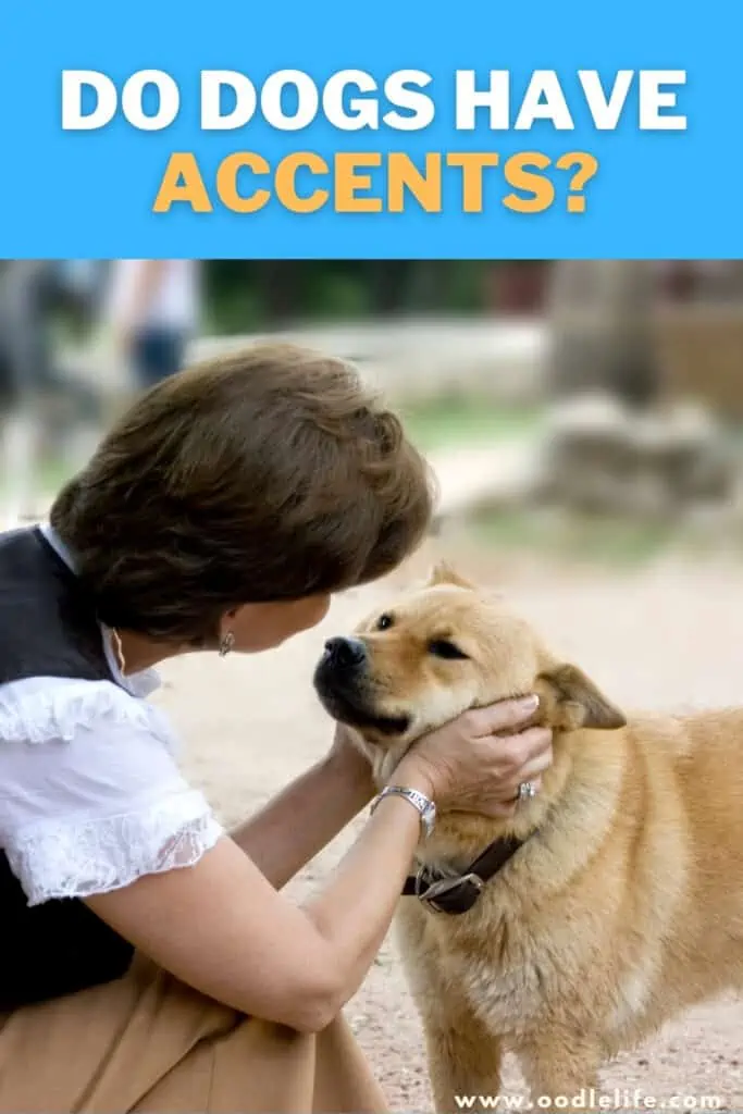 do dogs have accents