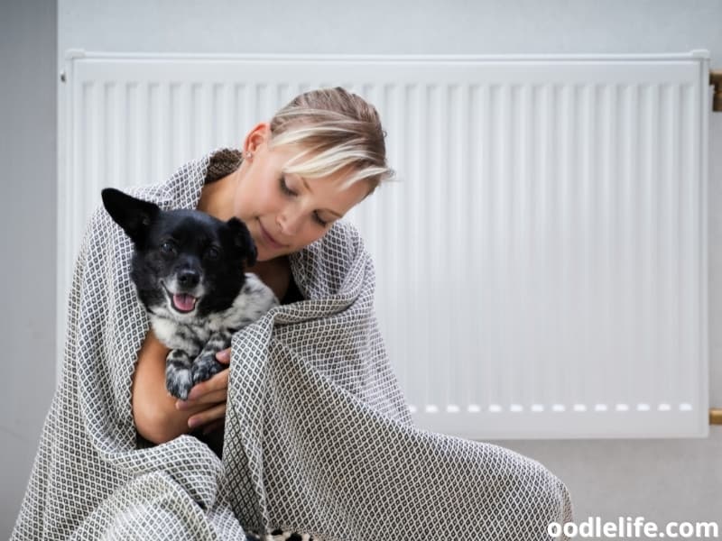 Why Does My Dog Keep Opening And Closing Her Mouth