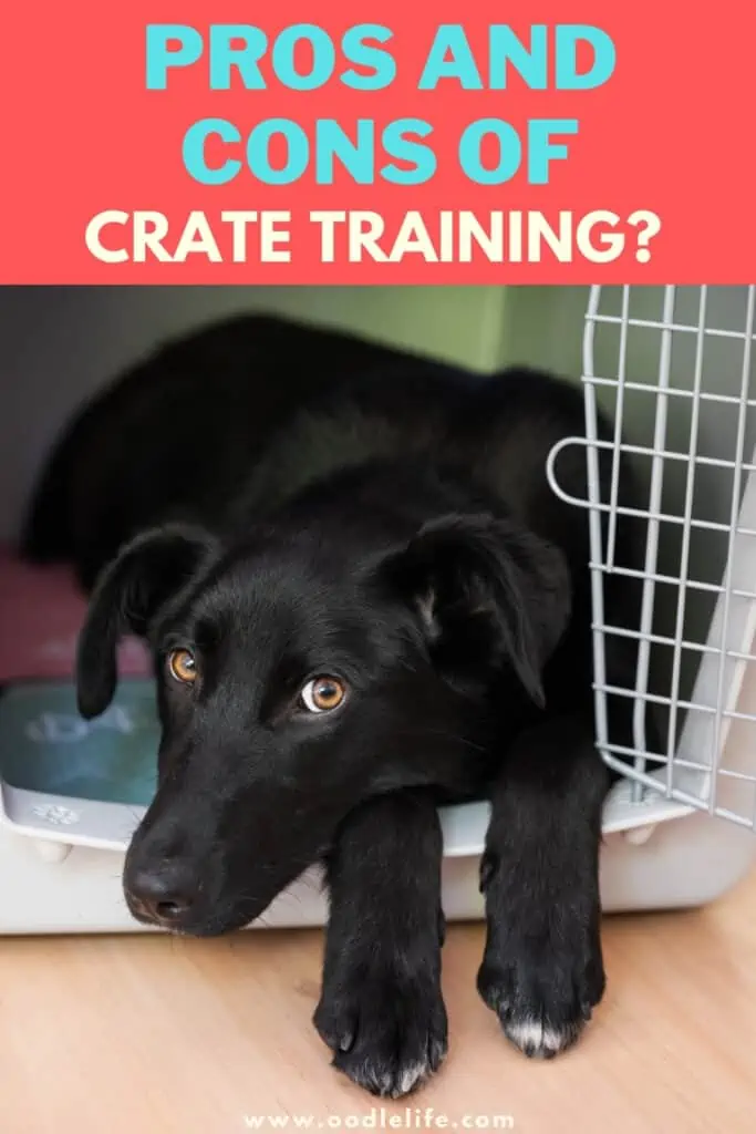 pros and cons of crate training