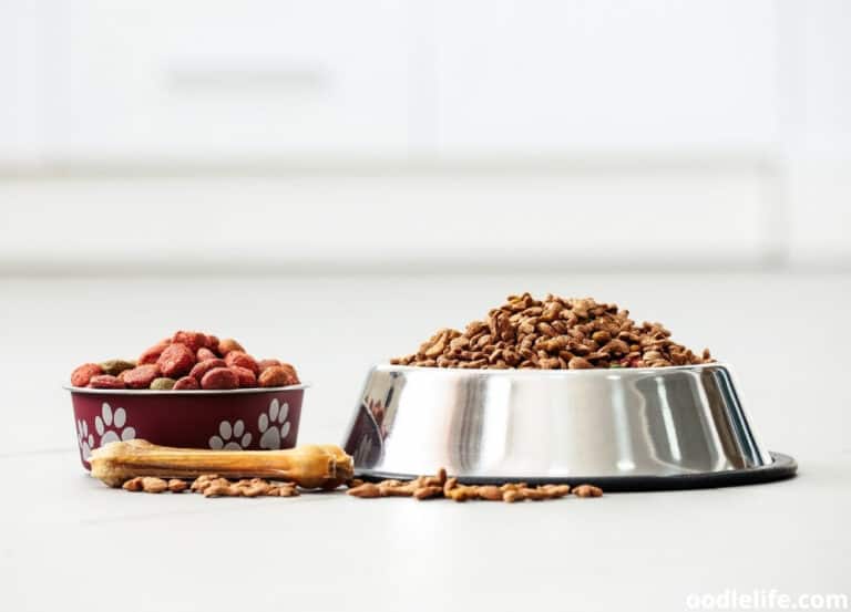 Royal Canin vs Purina Pro Plan [Food Comparison]