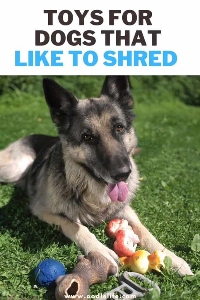 toys for dogs that like to shred