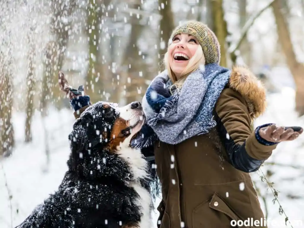 woman and dog enjoys the snow
