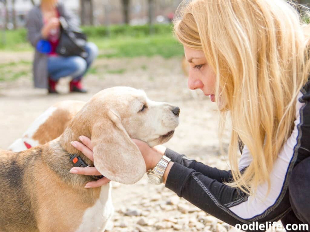 woman talking to her dog