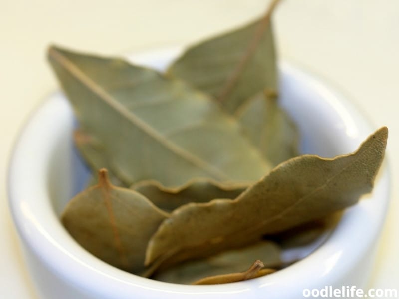 are bay leaves toxic for dogs