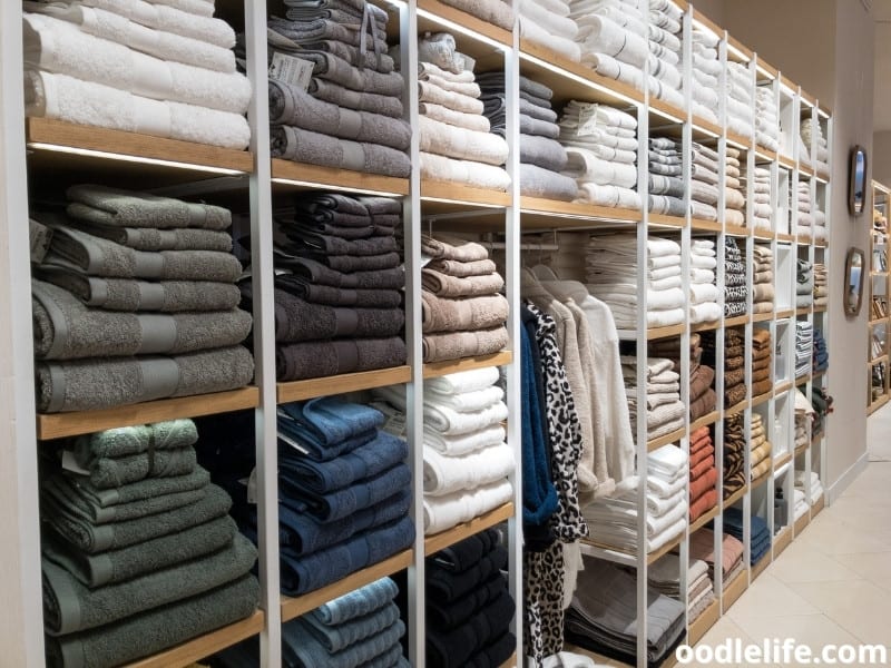 Which Stores Allow Dogs? PetFriendly Retail Guide (2024) Oodle Life