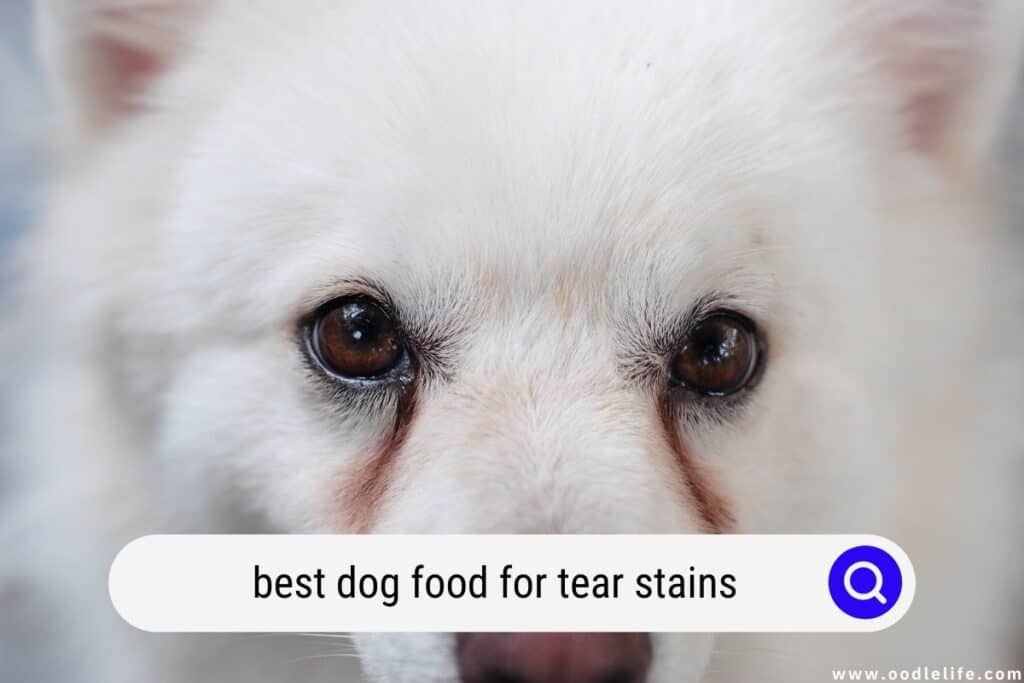 best dog food for tear stains