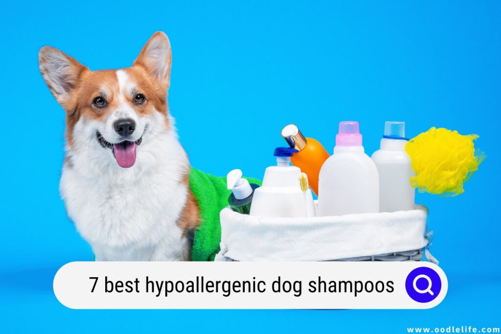 best hypoallergenic dog shampoos