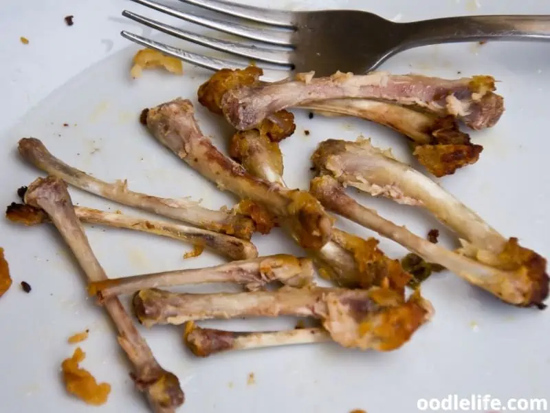 chicken bones