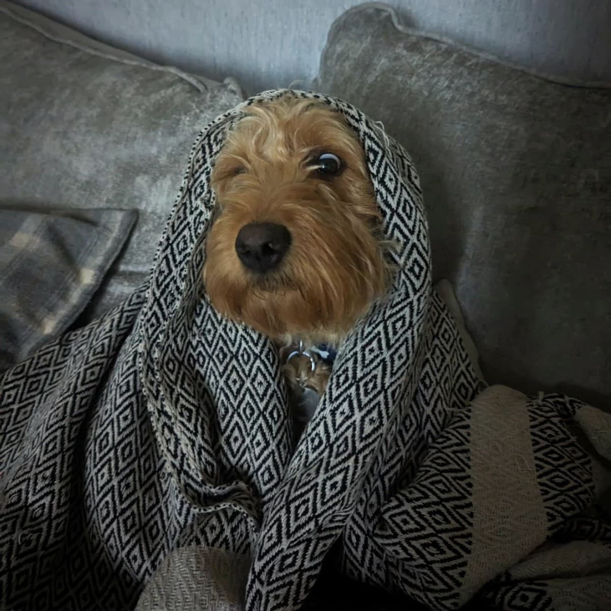 couch and blanket in cold weather