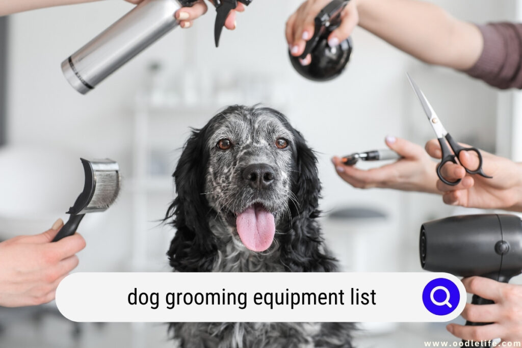 dog grooming equipment list