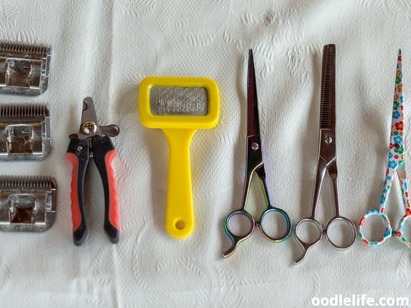 dog grooming tools