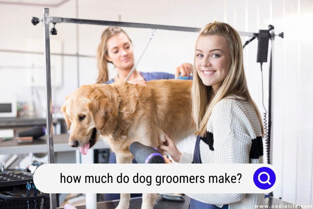 how much do dog groomers make