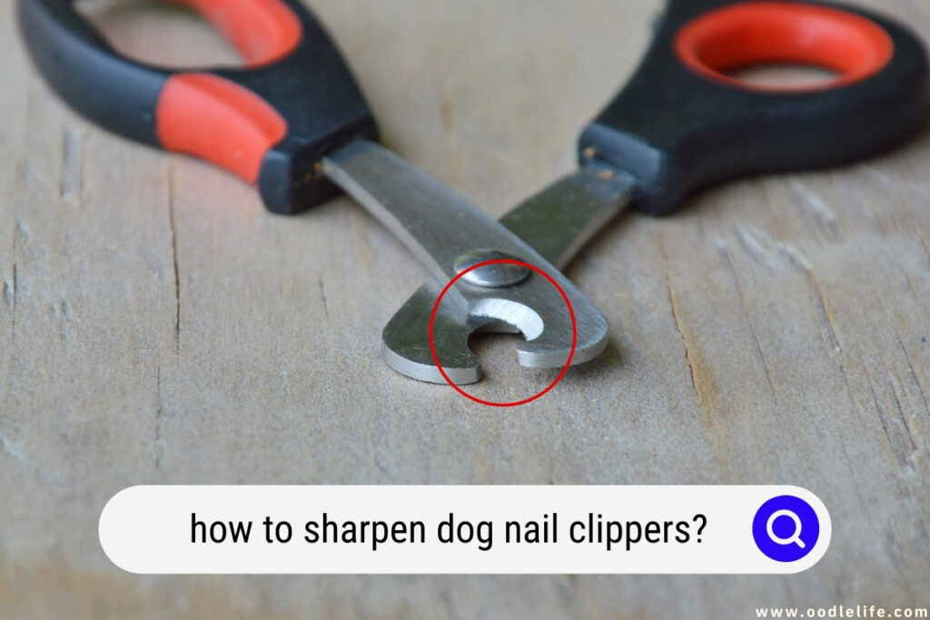 how to sharpen dog nail clippers