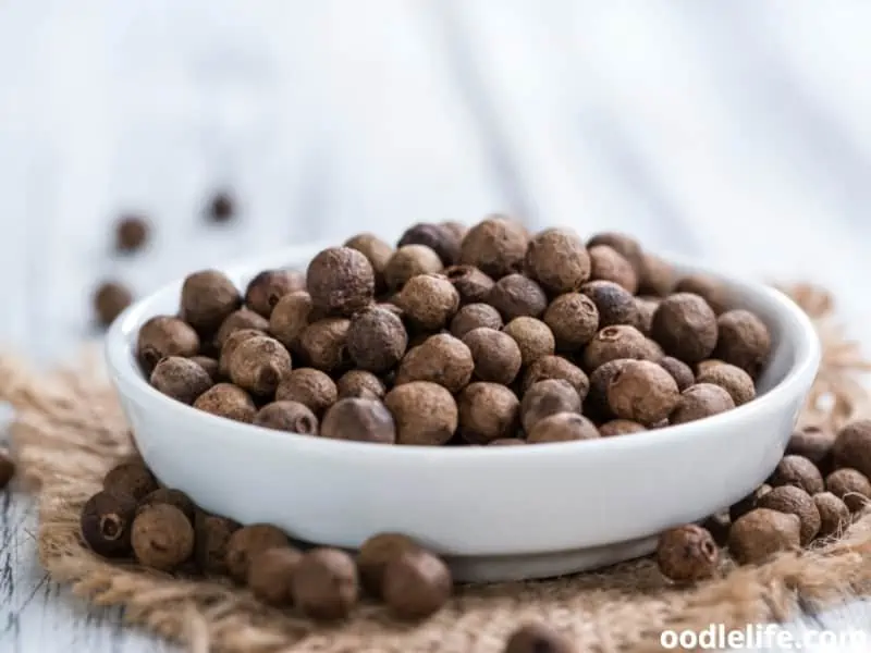 is allspice bad for dogs