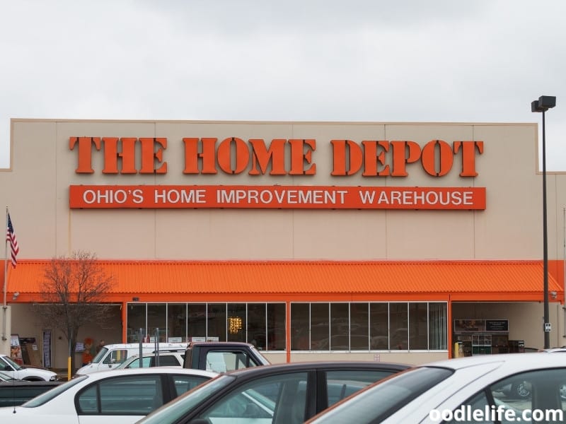 is home depot allows dogs
