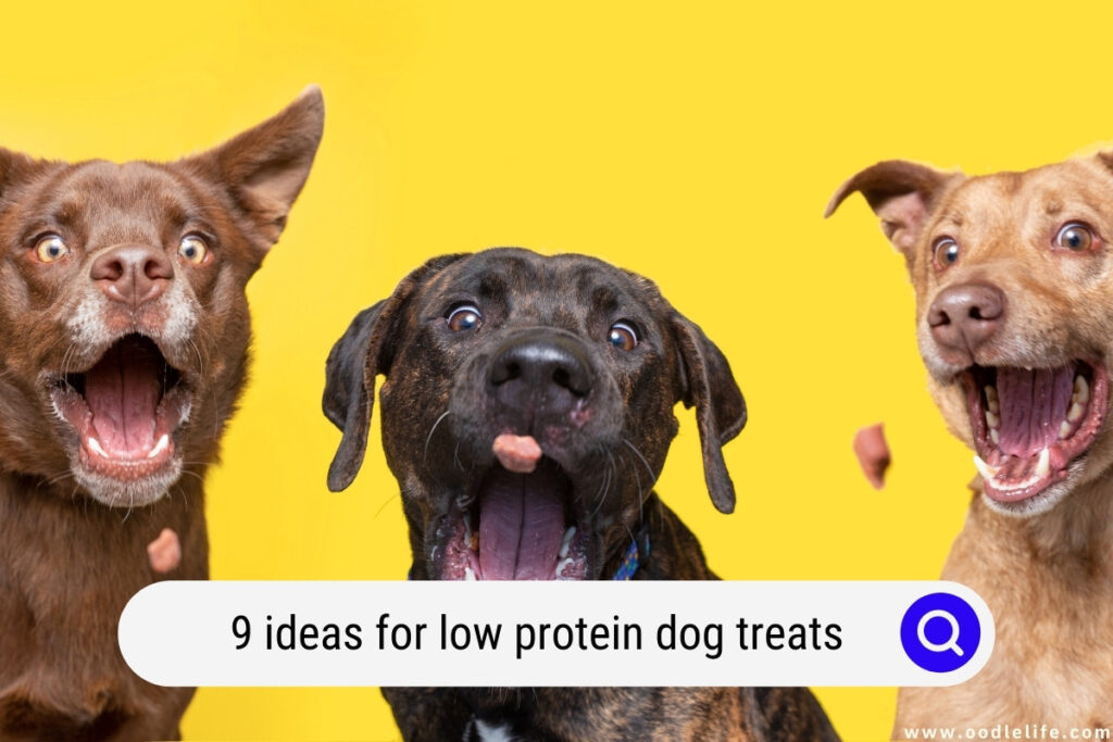 low protein dog treats