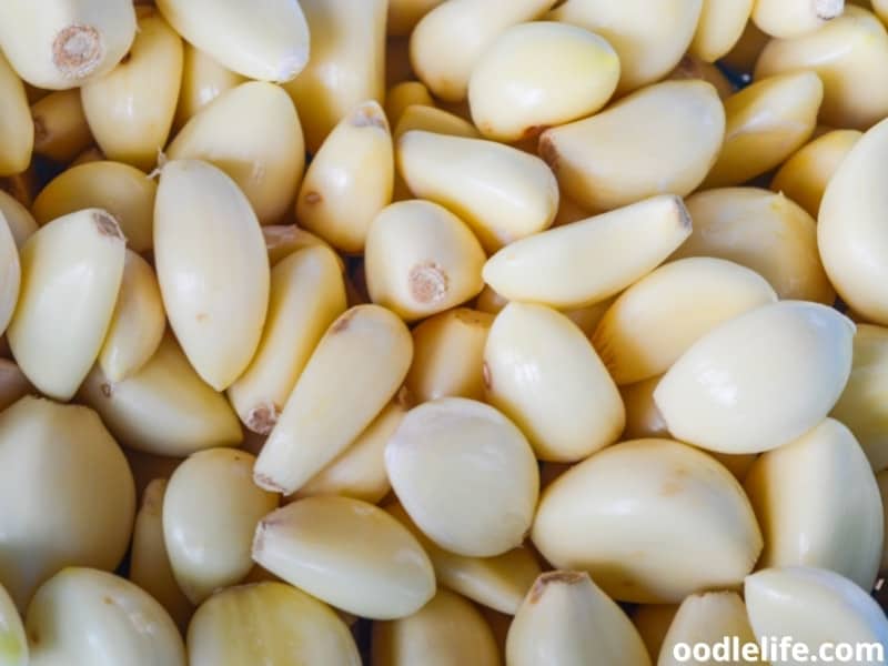 How Much Garlic Is Dangerous For Dogs