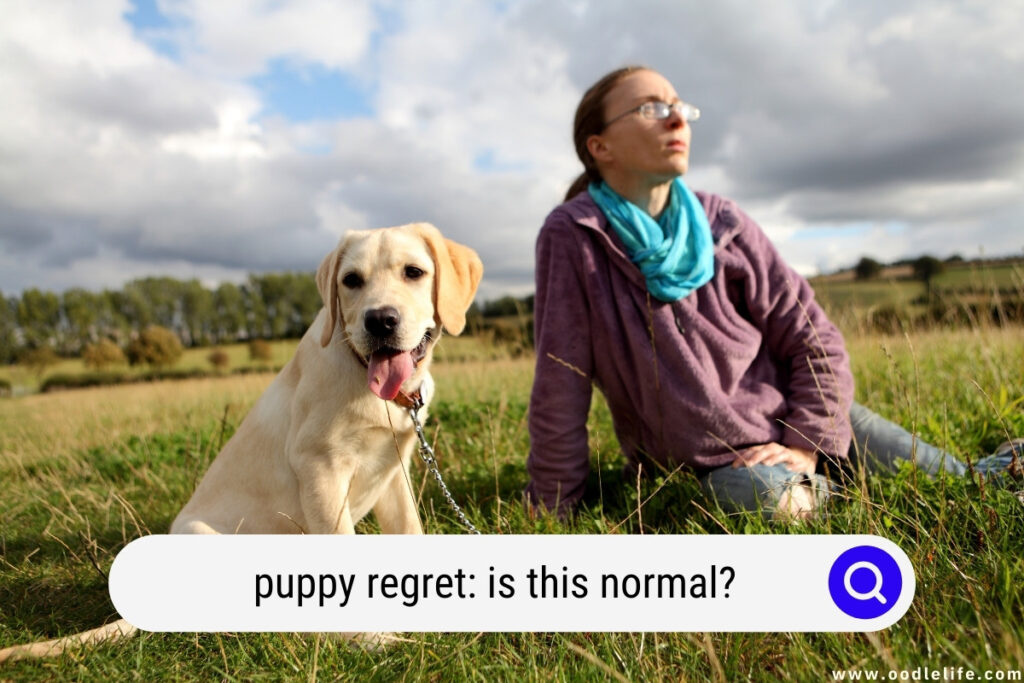 puppy regret