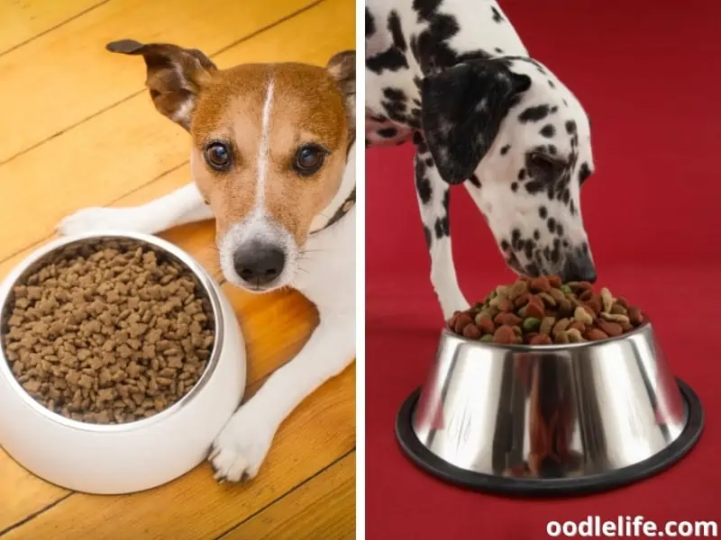 purina one vs purina pro plan