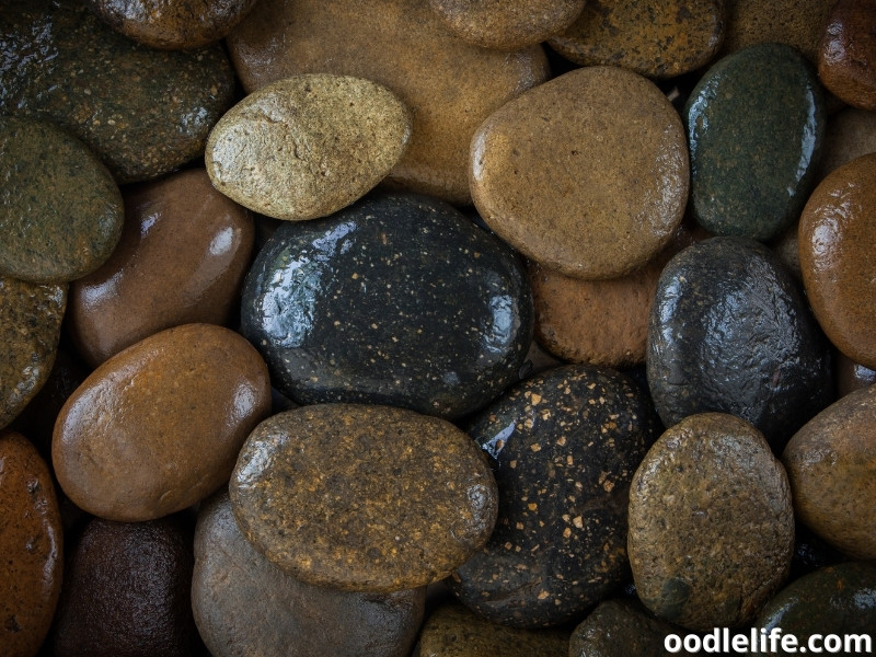 river rocks for dog pee area