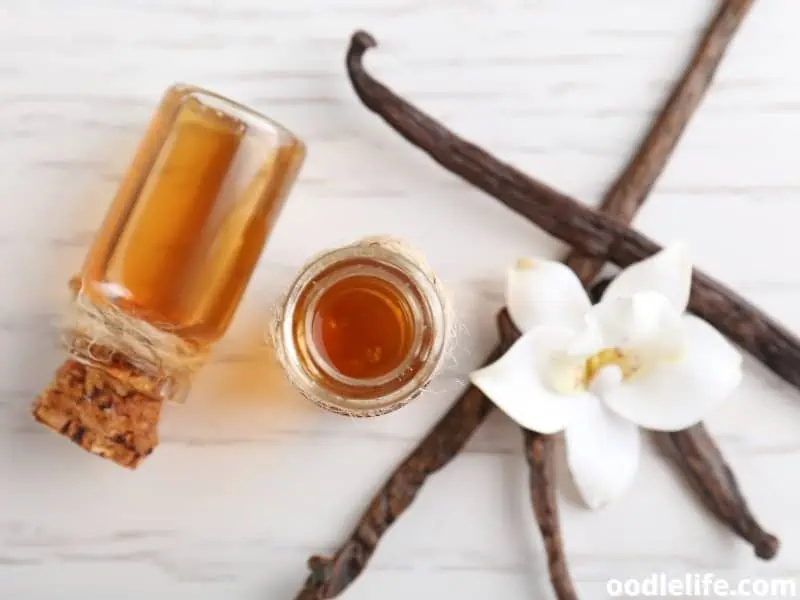 vanilla flower and a bottle of extract