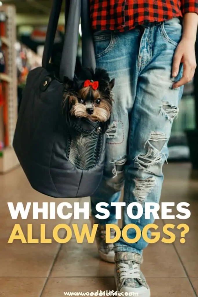 which stores allow dogs