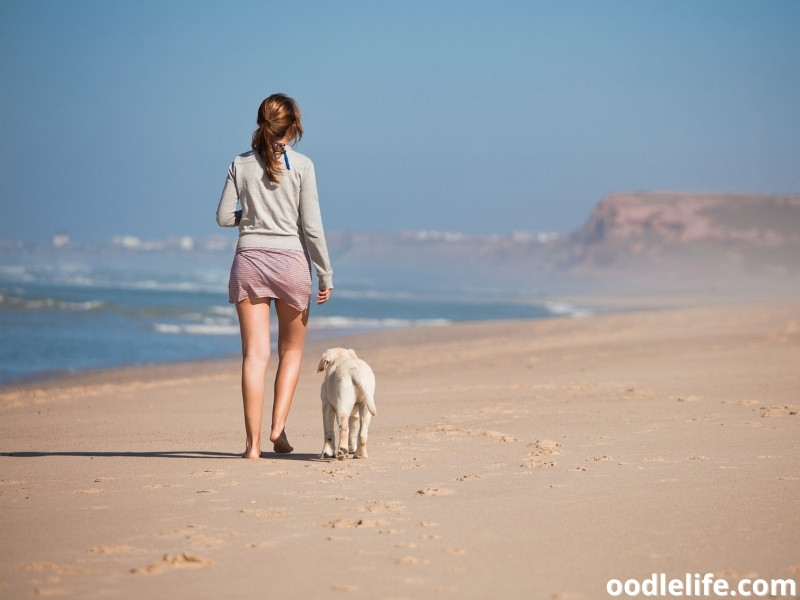 woman walking with dog