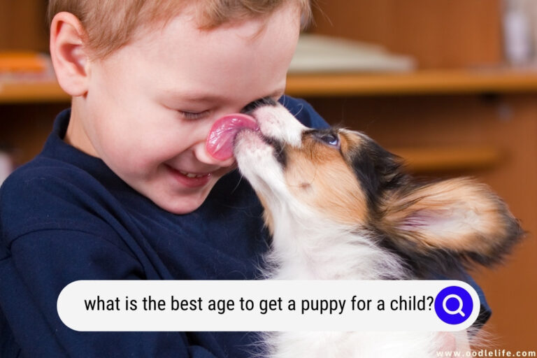What Is the Best Age To Get a Puppy for a Child? [Family Guide]