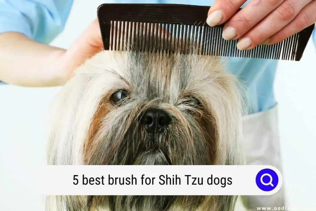 best brush for Shih Tzu