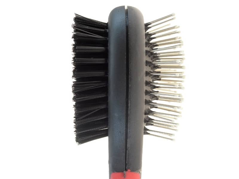 bristle brush