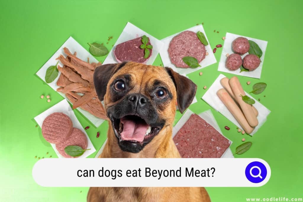 can dogs eat Beyond Meat
