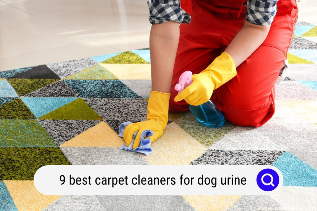 carpet cleaners for dog urine