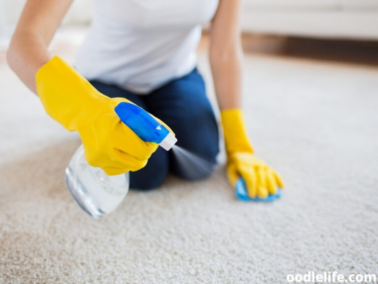 Why Does My Dog’s Pee Smell So Bad? OodleLife®