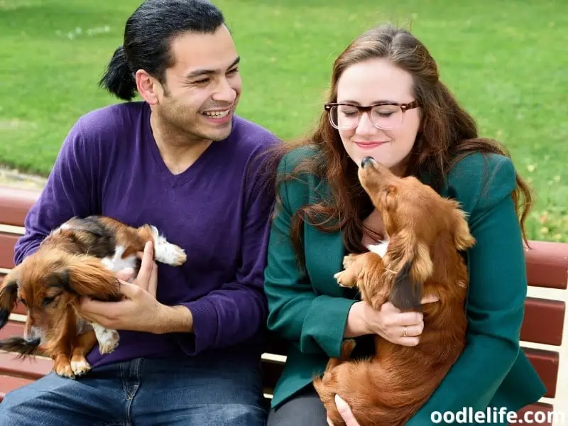 couple with two puppies