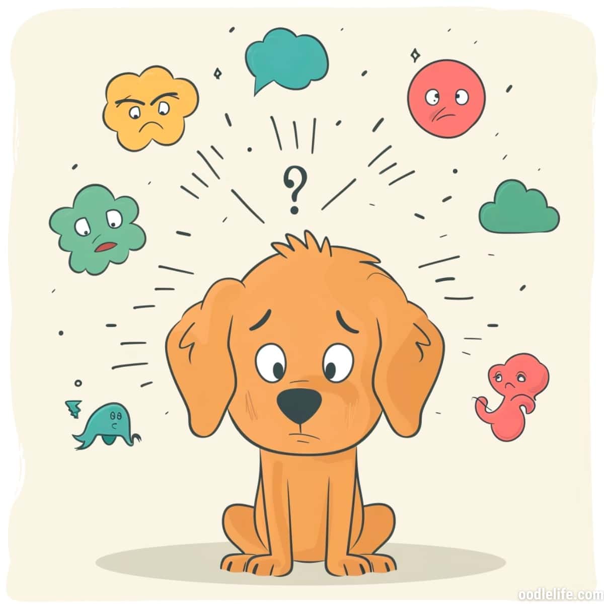 Why Is My Dog Acting Paranoid All Of A Sudden? (8 SIGNS) Oodle Life