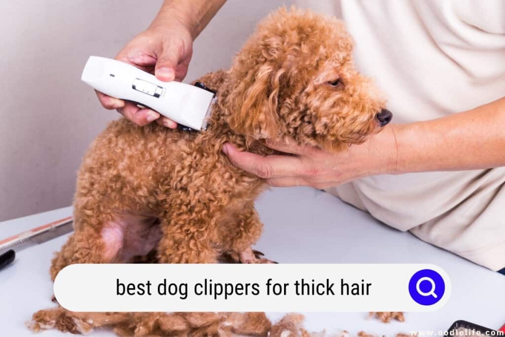 dog clippers for thick hair